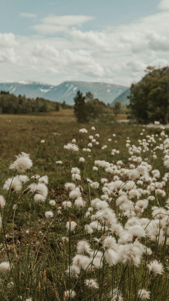 Global Network Solutions workshop space where corporate flower arrangements are designed and prepared for business delivery